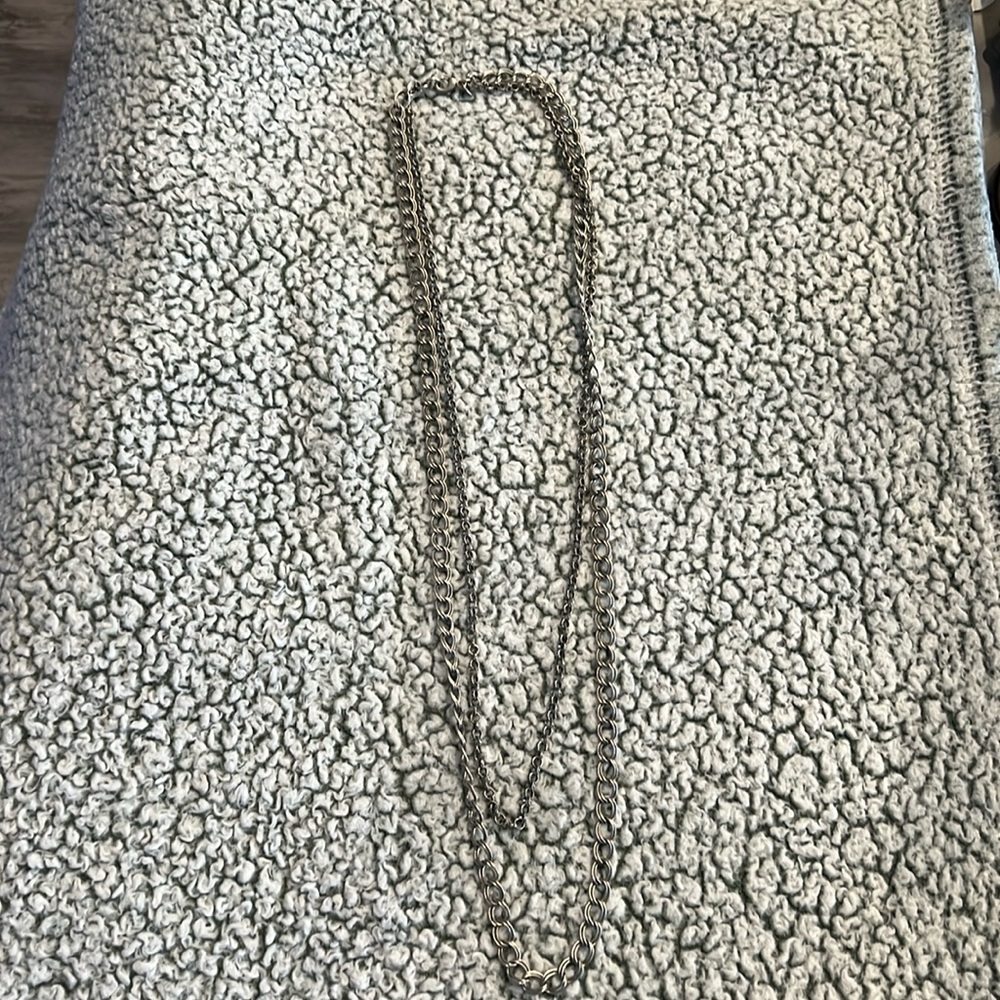 American Eagle Long Silver Chain Necklace